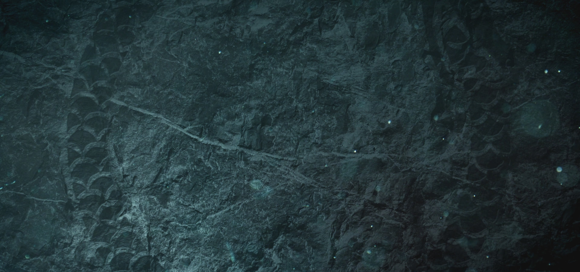 動画を読み込む