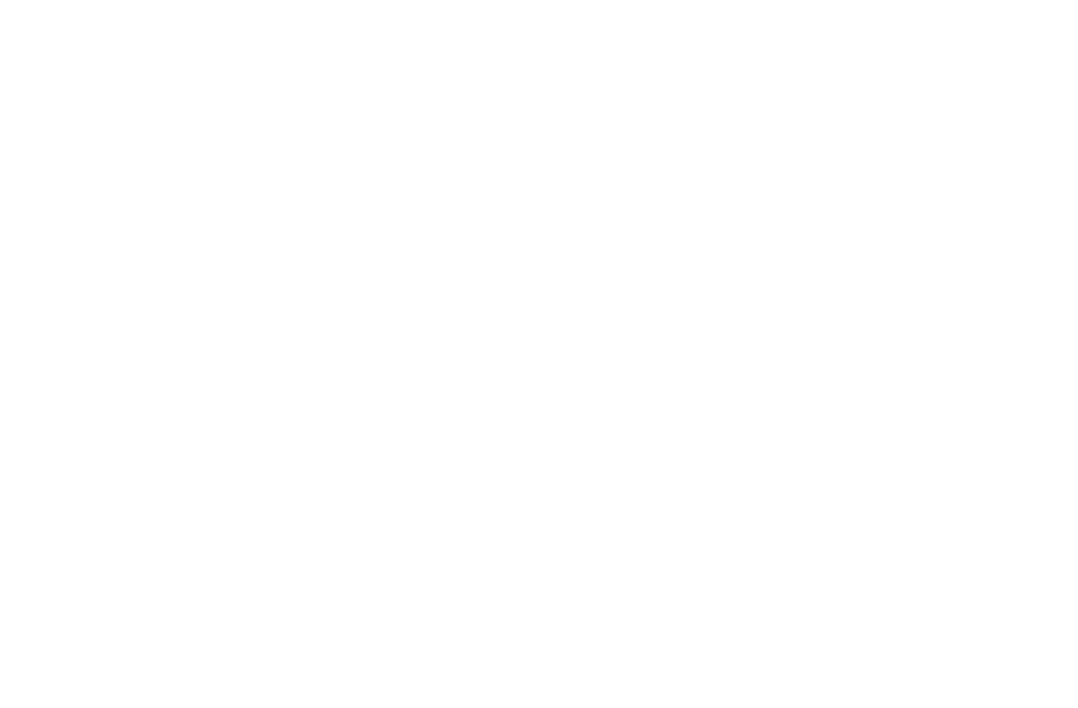 Senshi Logo